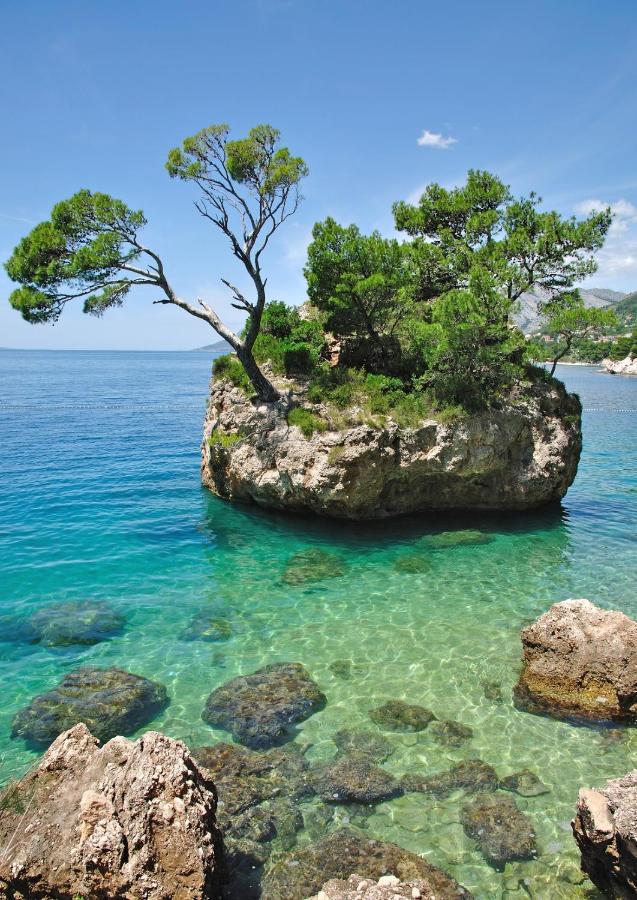 Guesthouse Brela Εξωτερικό φωτογραφία