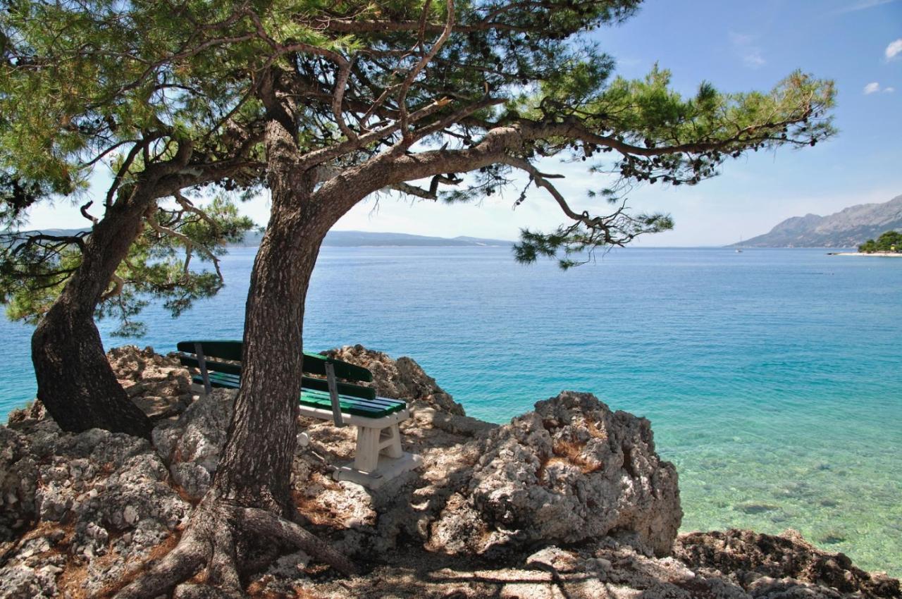 Guesthouse Brela Εξωτερικό φωτογραφία